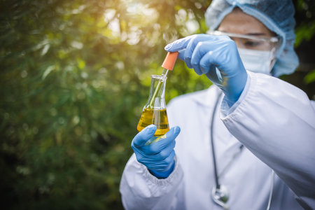 A doctor or researcher examines the cannabis plant extract.  CBD hemp oil in alternative medicine. Bio-medicine and ecology, herbs, pharmaceutical industry. Alternative medicine.の写真素材