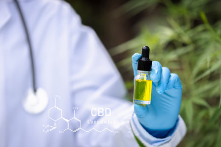 CBD Hemp oil, Doctor holding a bottle of hemp oil, Medical marijuana products including cannabis leaf, cbd and hash oil, alternative medicineの写真素材