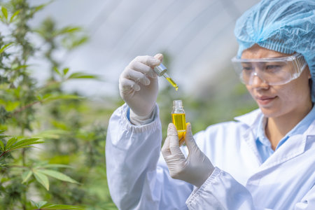 Farmer wearing  glove holding CBD oil bottle,  CBD hemp oil drops, Medical marijuana products including cannabis leaf,  alternative medicine.の写真素材