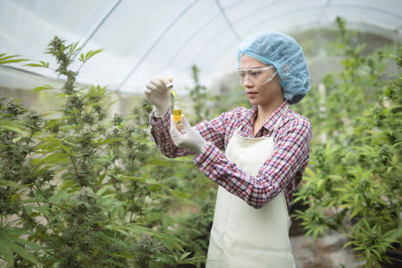Farmer wearing  glove holding CBD oil bottle,  CBD hemp oil drops, Medical marijuana products including cannabis leaf,  alternative medicine.の写真素材