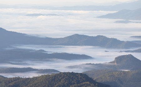 Mist with big mountain in the morning. beautiful mist sea on top moutain, Sunrise Scene of Mountain Range and Fog.の写真素材