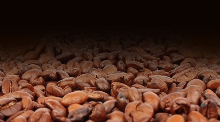 coffee beans background in dark, big fragrant roasted grains, food photoの写真素材