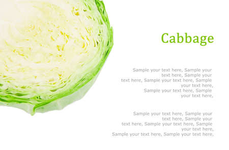 Fresh young green cabbage   text, isolated on white background の写真素材