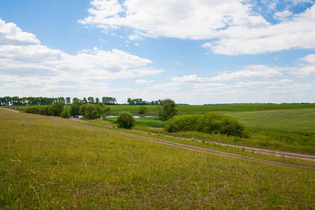Rural landscape with field, meadow, road and cloud sky