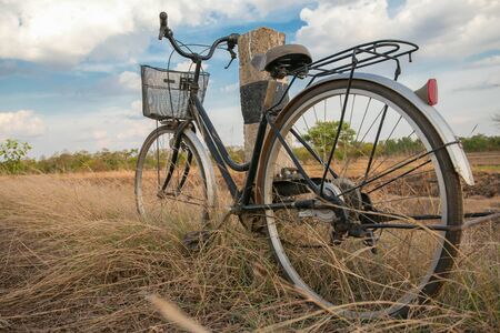 Bicycles parked in the meadowの写真素材