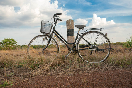 Bicycles parked in the meadowの写真素材