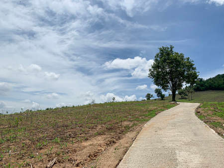 Rough road on the mountian and blue cloud skyの写真素材