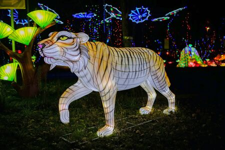 lights decoration chinese paper and metal traditional tigerの写真素材