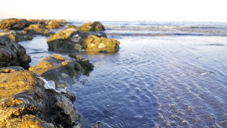 rocks on the shore of the Mediterranean sea Rimini Riccione with beach and sand at sunset