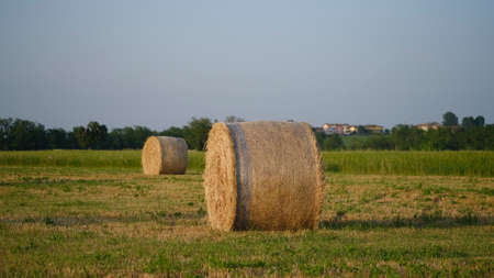 bales of hay on the field just reaped in the summer sun. High quality photoの写真素材