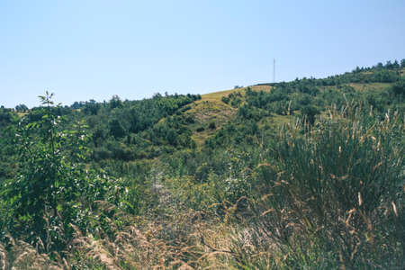 Emilian hills with green vegetation in Emilian hills with green vegetation in Ventoso of Scandiano...