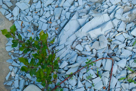 pebbles and stones in the river bed on sunny day. High quality photopebbles and stones in the river...