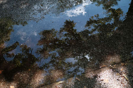 Close up of a puddle of water on the road after the rain with trees and blue sky with clouds reflecting in it. High quality photoの写真素材
