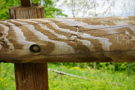 old wooden fence with knots. High quality photo