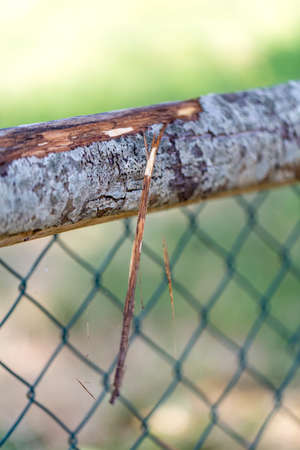 wooden fence with posts and net. High quality photo