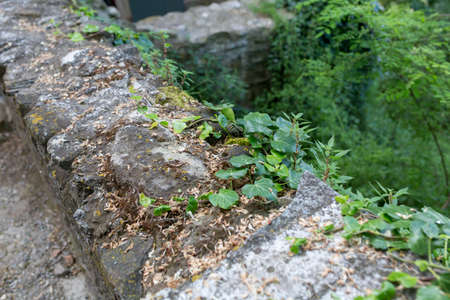 old stone wall and brick pattern background in sunny day. High quality photo