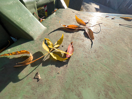 sprig with leaves resting with shadow. High quality photo