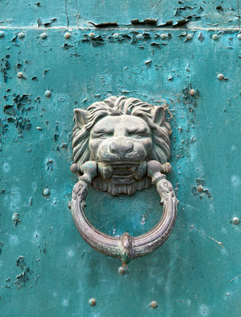 latch bolt with lion's head. High quality photoの写真素材