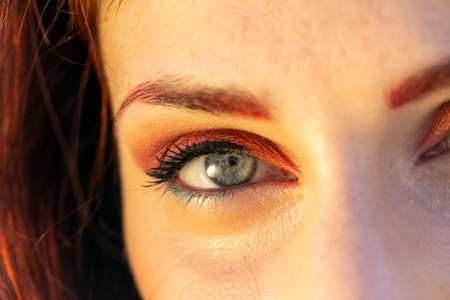 Rimini, Italy - 2016 07 21: Rimini Comics free cosplay event around beach and seaside Beautiful Poison ivy. High quality photoのeditorial素材