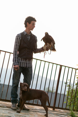 falconer with Harris buzzard on his arm and hunting dog. High quality photoの写真素材