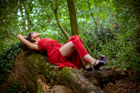beautiful girl with long red dress lying on tree trunk. High quality photoの写真素材