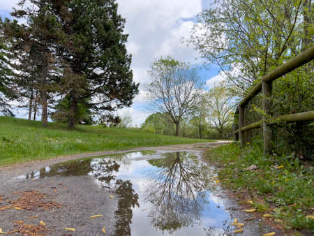 reflection of trees in puddle after thunderstorm. High quality photoの写真素材