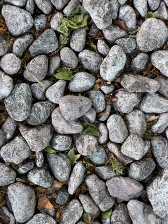 road surface made of river stones. High quality photoの写真素材