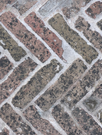 antique red brick floor in the shape of a fish ear. High quality photoの写真素材