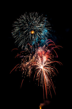 flowers fire works flowers in black sky. High-quality photoの写真素材