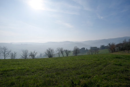 Italy Emilian hills with cultivated fields and vineyards. High-quality photo