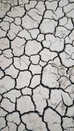 cracks in dry ground after flood. High-quality photo