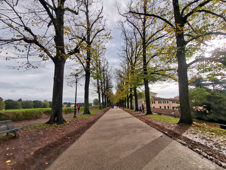walk on the walls of Lucca Italy tree-lined avenue. High-quality photoの写真素材