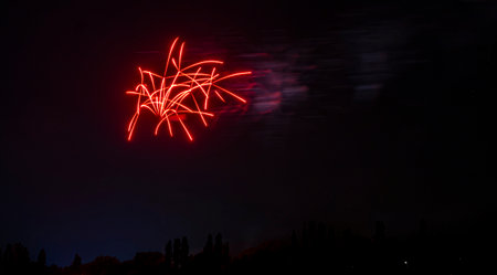 fireworks in the black sky. High-quality photo