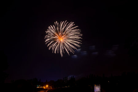 fireworks in the black sky. High-quality photoの写真素材