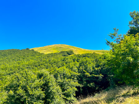 panorama from Mount Ventasso of the Reggio Apennines in summer on a sunny day. High quality photoの写真素材