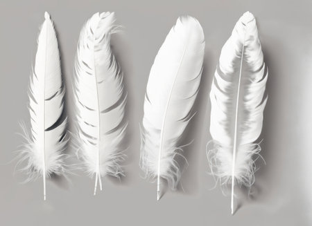 An elegant gesture of nature captured in a closeup image showing a set of white feathers on a brown background, resembling an artistic display of natural materialsの素材