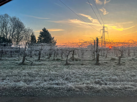 A serene frozen field stretches out before you, beautifully illuminated by a stunning sunset casting vibrant colors in the backgroundの写真素材