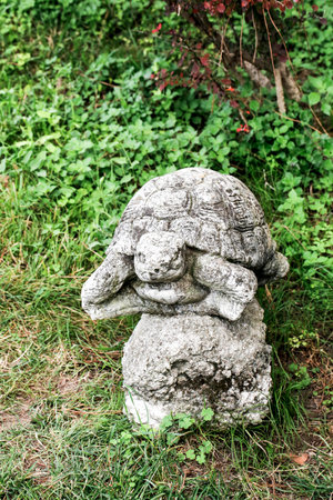 A beautiful statue featuring a turtle sitting gracefully on top of a rock, surrounded by lush green grass in a serene outdoor settingの写真素材