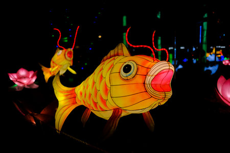 This is a charming lantern designed in the unique shape of a fish, featuring an adorable pink nose that adds to its whimsical appealの写真素材