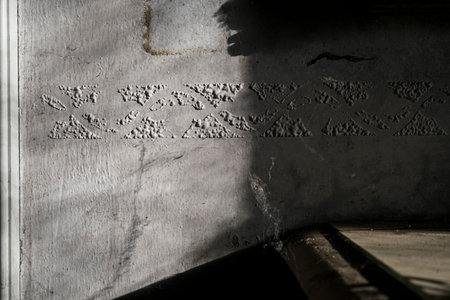 This is a striking black and white photograph capturing the intriguing shadow cast against a...