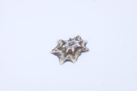 A small decorative star with brown and white colors remaining on a gleaming white surface, adding an...