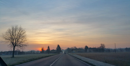A peaceful sunrise scene featuring a bare tree in a field alongside an empty road leading towards...