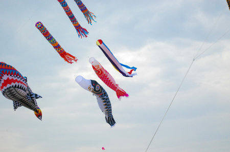 A group of vibrant kites, including a large fish-shaped kite, soar through the blue sky with white clouds. The kites are different in shape and color, creating a lively and dynamic scene.の写真素材