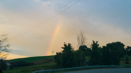 A beautiful rainbow is vividly visible in the sky above a hill adorned with lush trees set in the...