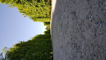 A wide-angle view of the magnificent Reggia di Venaria, showcasing its long Baroque facade, grand...