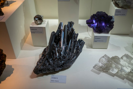 Stunning metallic Stibnite crystals dominate this museum display, contrasted by a luminous purple Fluorite specimen. The exhibit showcases diverse geological forms under focused lighting. High quality photoの写真素材