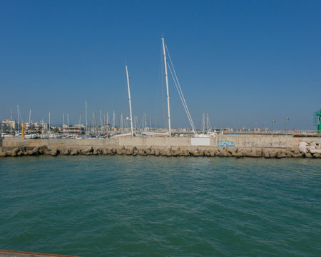 A bright, wide-angle photograph of a sunny marina filled with docked sailboats and yachts. The background shows the city skyline and harbor infrastructure under a clear blue sky. High quality photoの写真素材