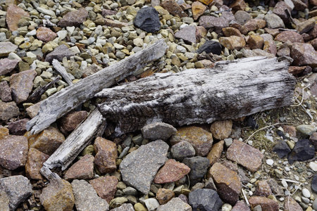 Weathered Driftwood On Rocky Shore, SunBleached Log Resting Among Multicolored Stones With Cracked Grainの写真素材