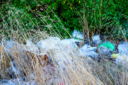 Piled Plastic Waste Among Dry Grass, Scattered Single Use Bags And Bottles Along Overgrown Bushes,...