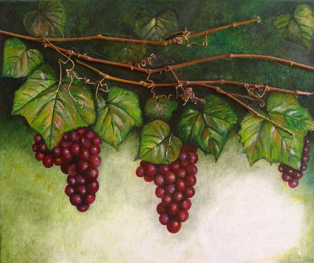 Colourfull original oil painting showing a grapevineの写真素材